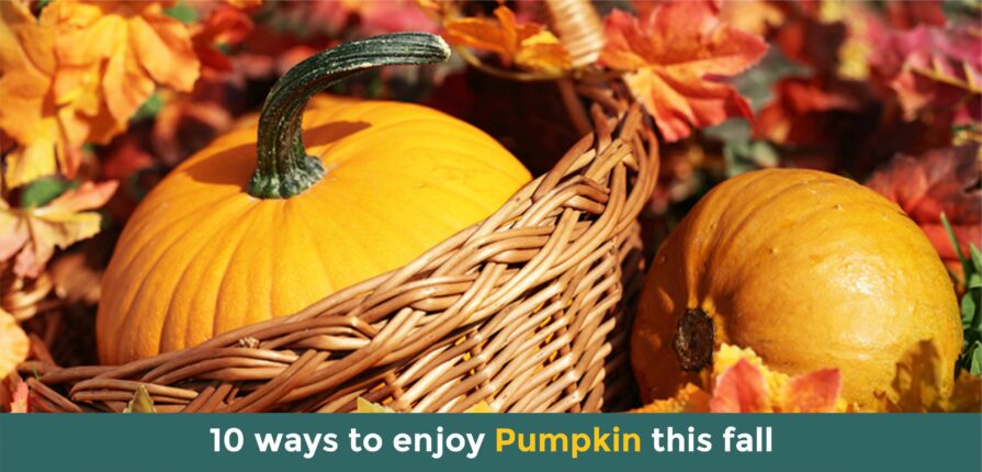 Pumpkin featured image
